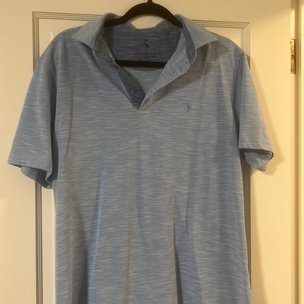 Light blue polo